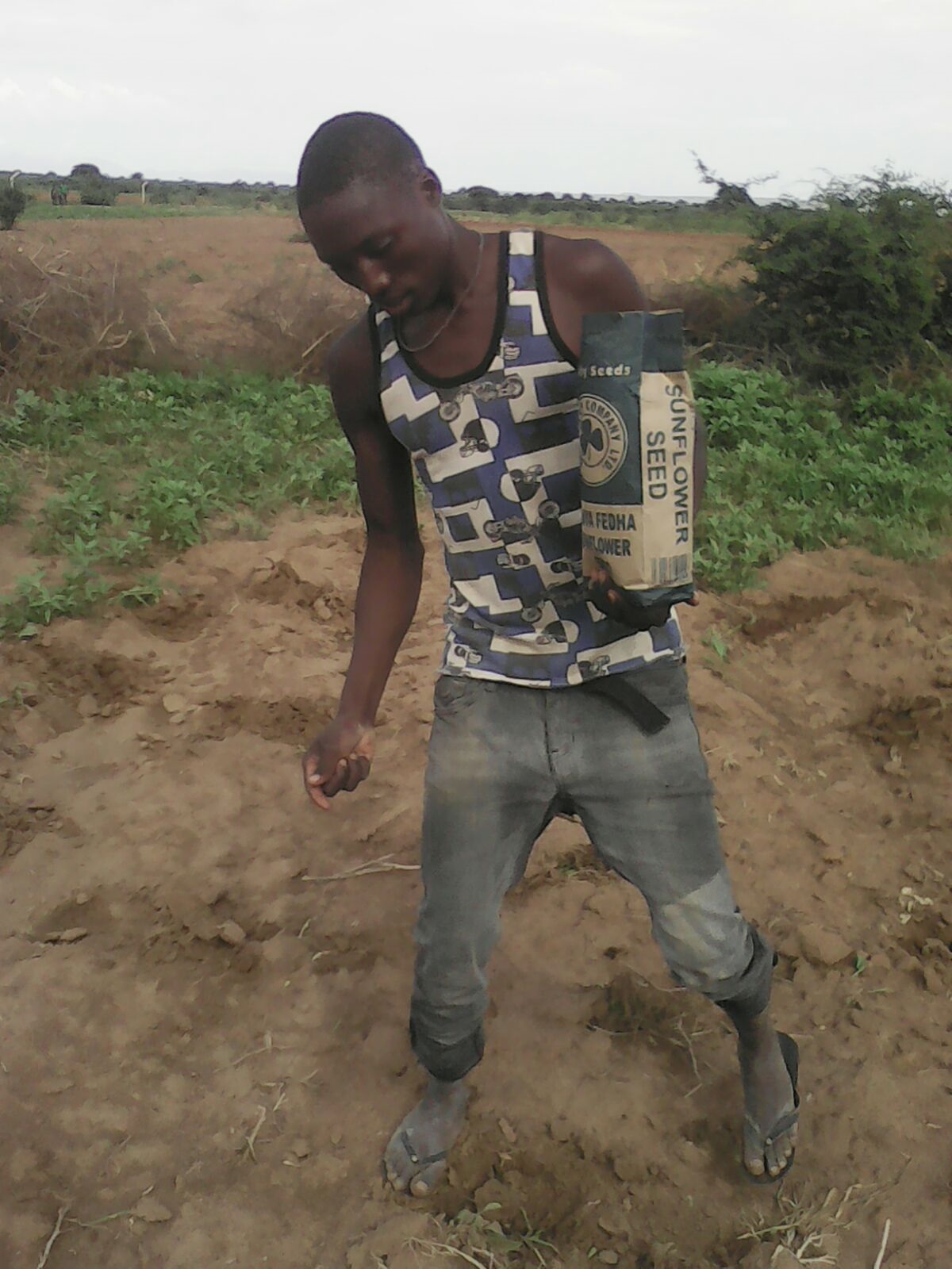 A young farmer in Ulemo planting Kenya Fedha seed variety