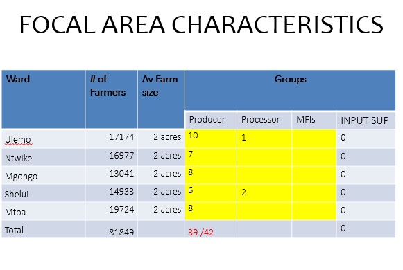 Sunflower chain actors main producers from the PEML program area in Iramba District