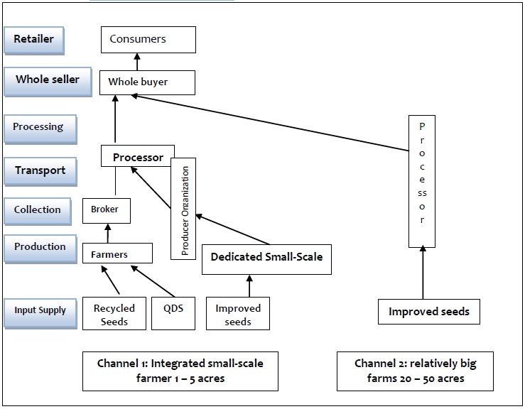 Sunflower Value Chain Map