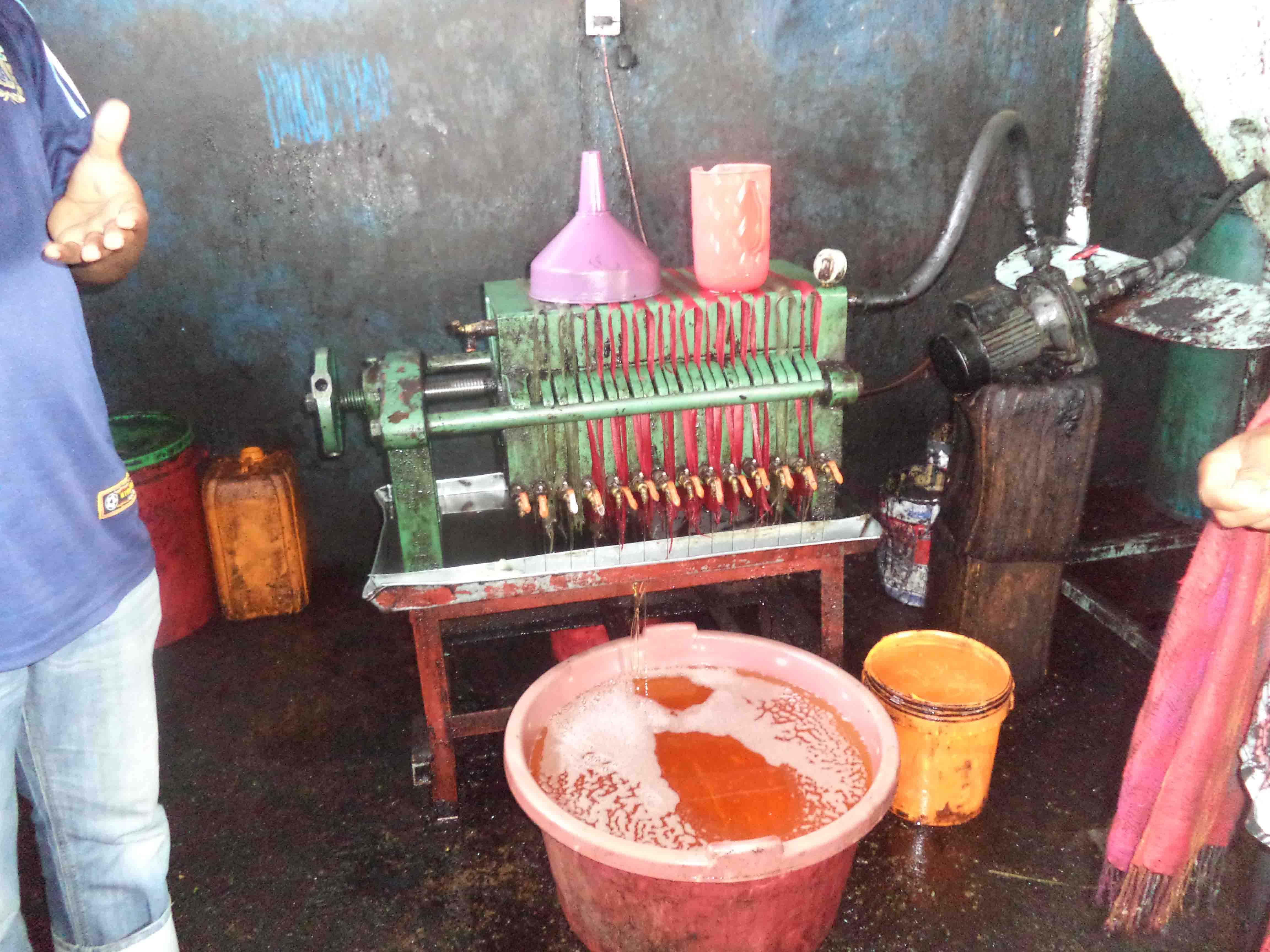 Extraction of Sunflower Oil